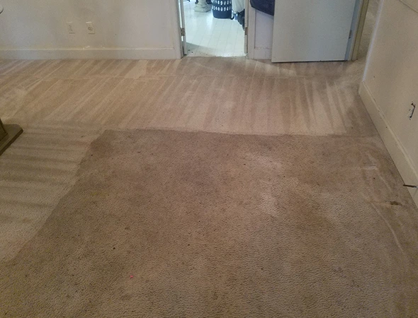 Carpet Cleaning in Millbrook, AL