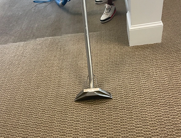 Carpet Cleaning in Millbrook, AL