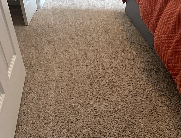 Carpet Cleaning in Millbrook, AL
