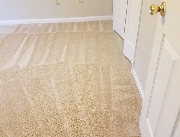 Carpet Cleaning in Pike Road, AL