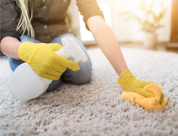 Carpet Cleaning in Pike Road, AL