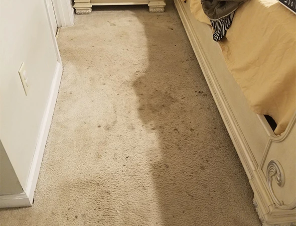Carpet Cleaning in Pike Road, AL