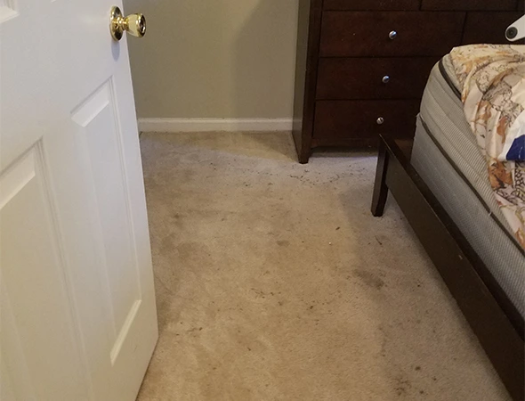 Carpet Cleaning in Prattville, AL