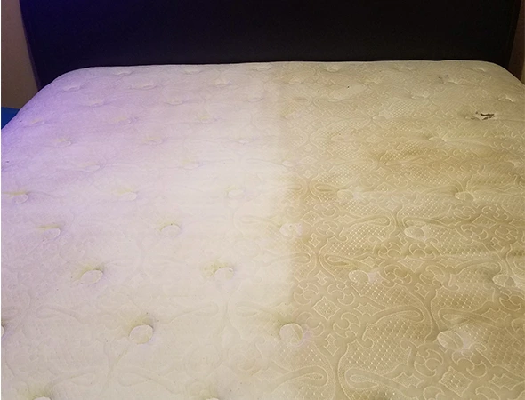 Carpet Cleaning in Prattville, AL
