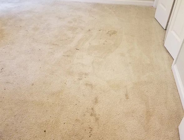 Carpet Cleaning in Selma, AL