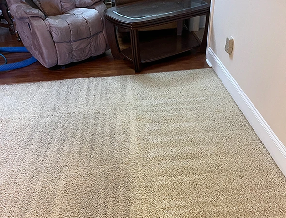 Carpet Cleaning in Selma, AL
