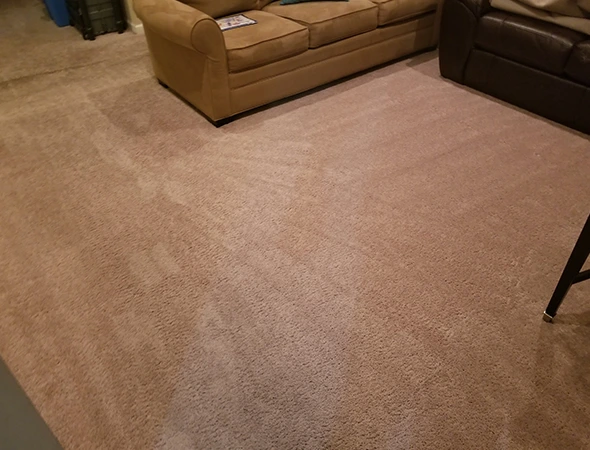 Carpet Cleaning in Troy, AL