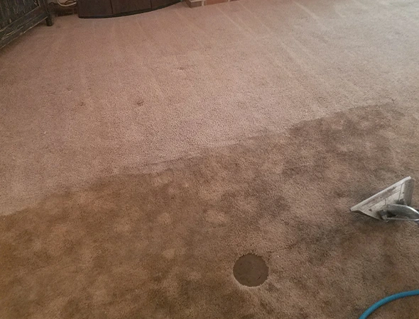 Carpet Cleaning in Troy, AL