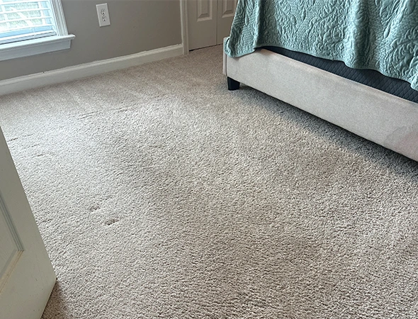 Carpet Cleaning in Wetumpka, AL