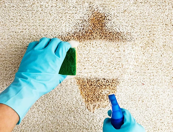 Pet Odor & Stain Removal in Montgomery, AL